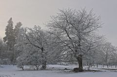 ...der Winter hat uns noch im Griff...