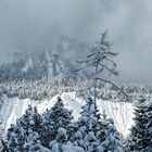 Der Winter hat uns so viel Schönes zu bieten..! - L'hiver chez nous!