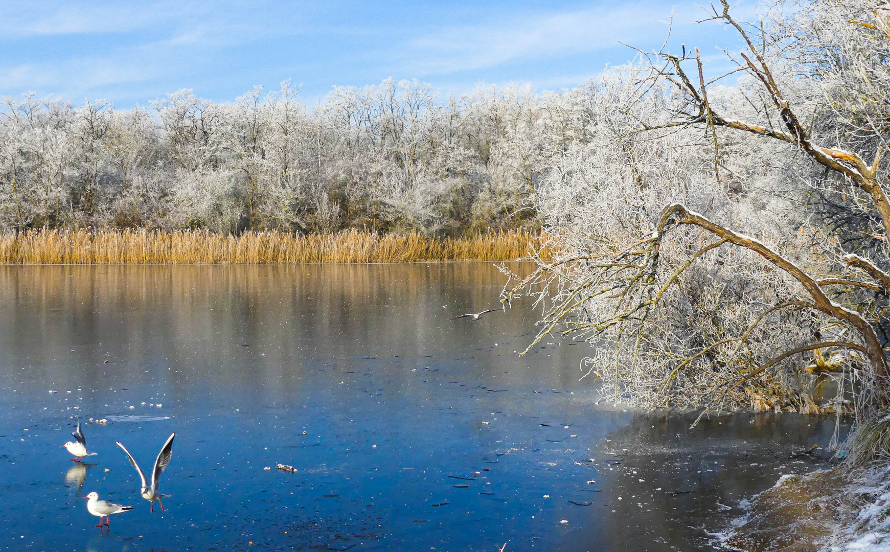 Der Winter hat uns voll im Griff