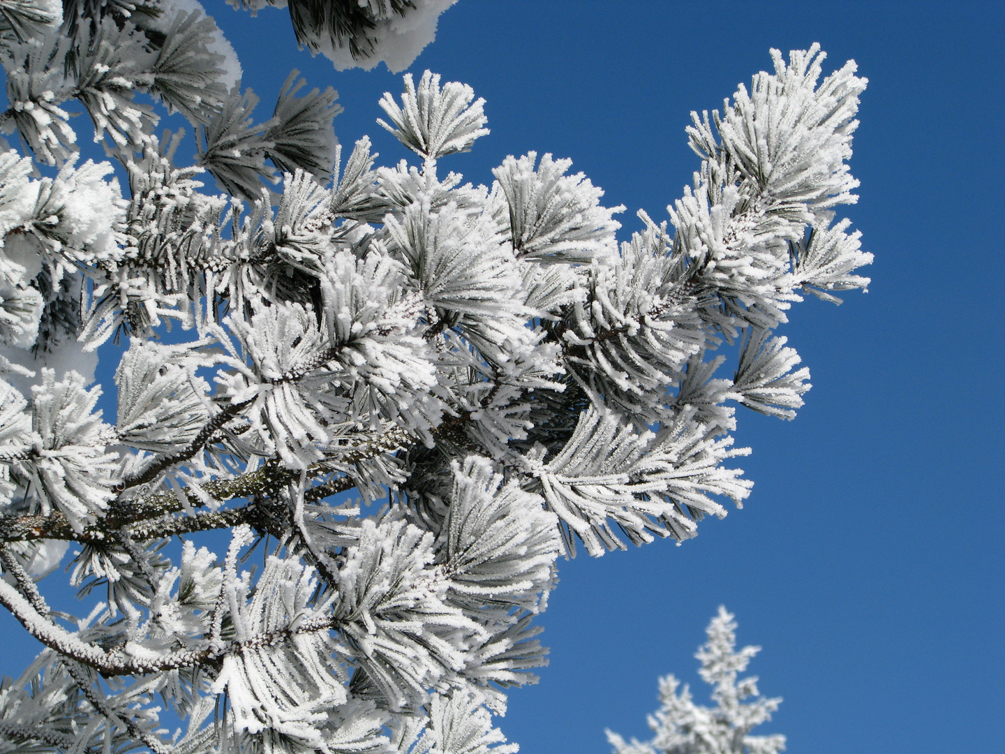 Der Winter hat uns wieder