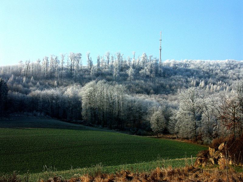 Der Winter hat viele Farben