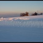 der winter hat vorrang