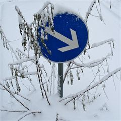 Der Winter hatte auch seine Farben     III BLAU