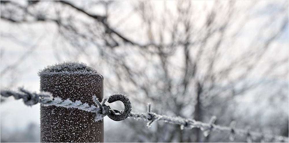 Der Winter hinterlässt schöne Spuren