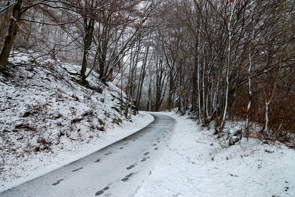 Der Winter hinterlässt seine Spuren...