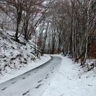 Der Winter hinterlässt seine Spuren...