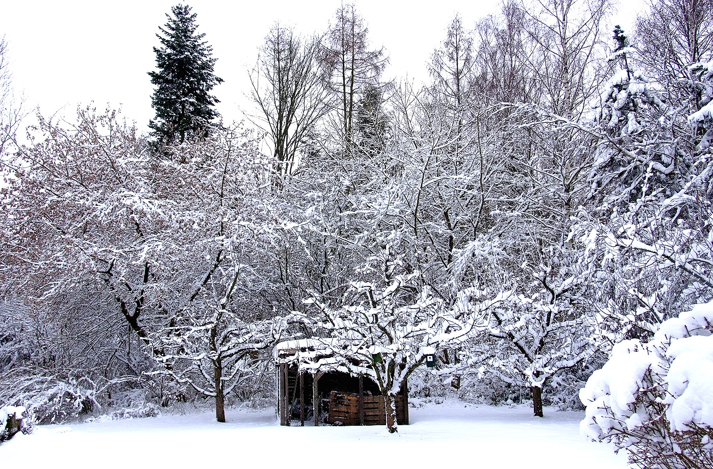 Der Winter hinter`m Haus ...