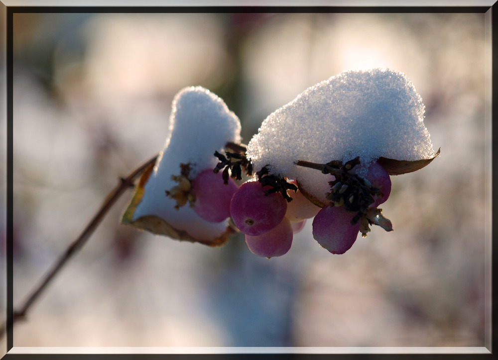 Der Winter hört nicht auf