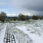 Der Winter im Frühling