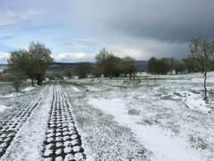 Der Winter im Frühling