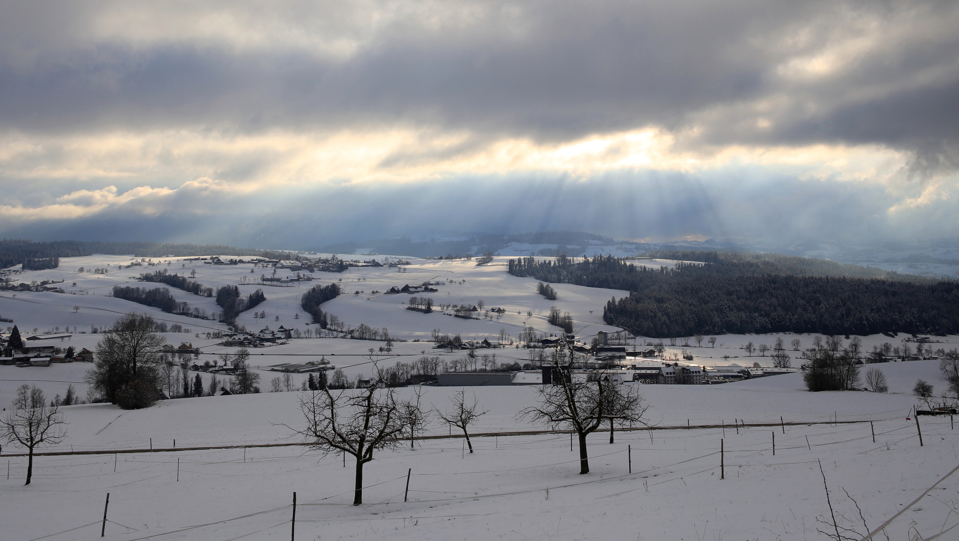 Der Winter im Januar 2022