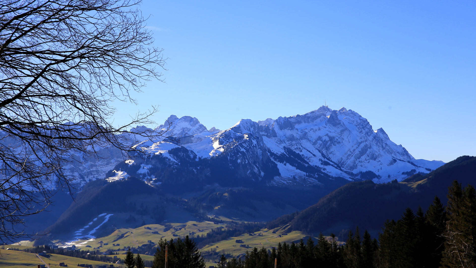 Der Winter im Januar