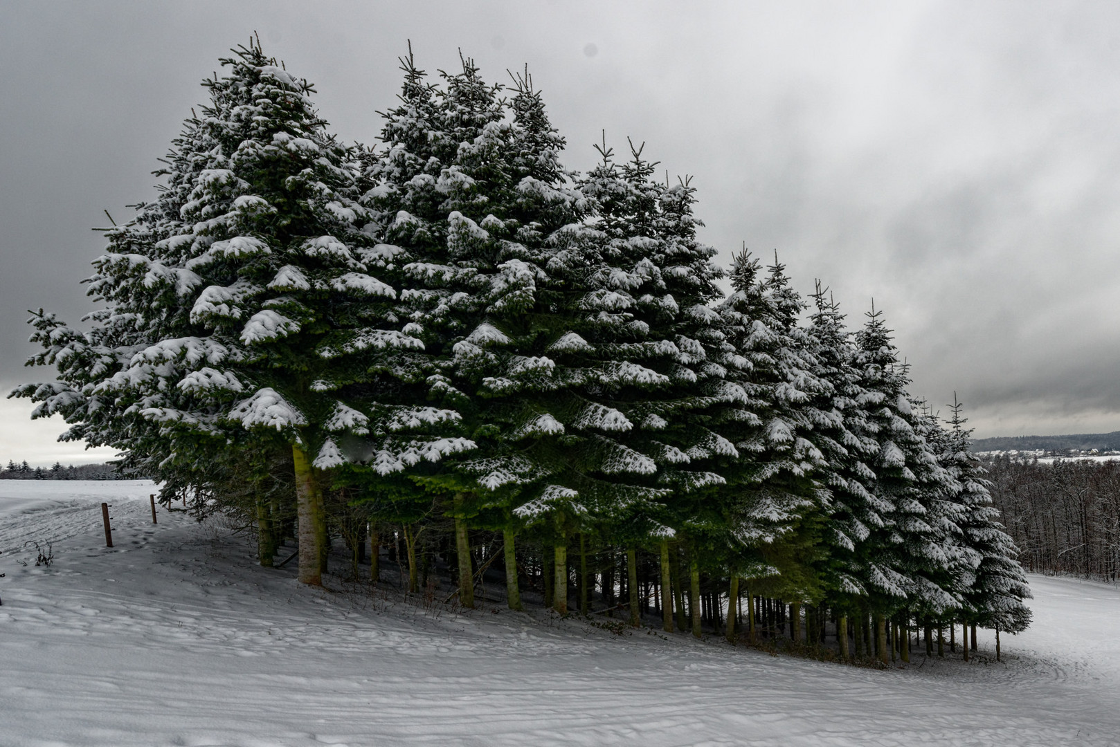 Der Winter im Schwäbischen Wald