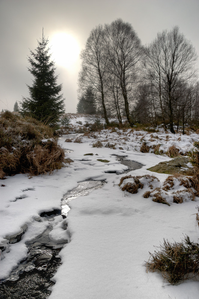 Der Winter im Venn II