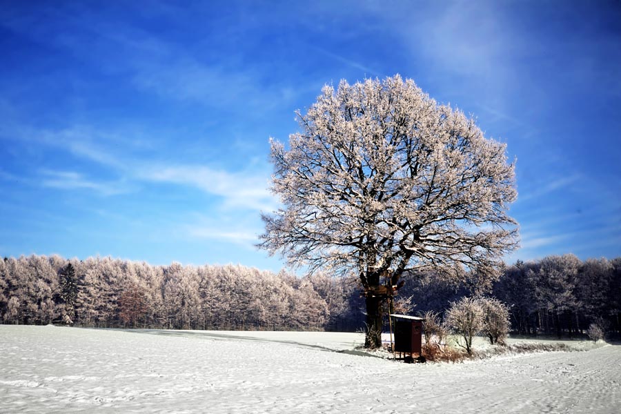 Der Winter im Westen