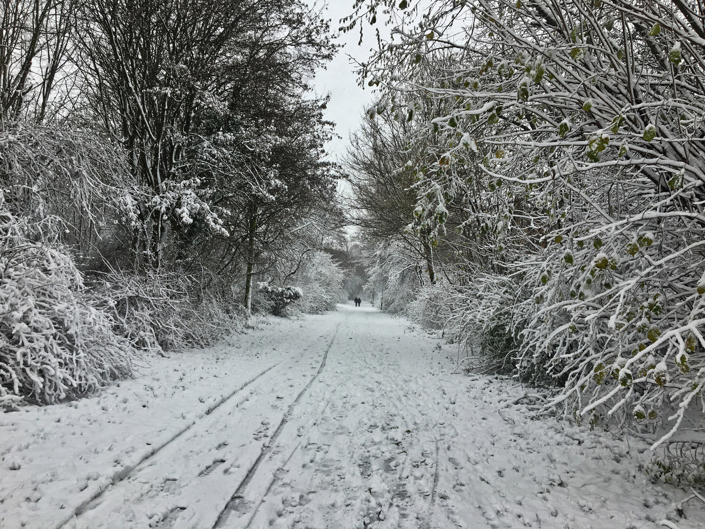 Der Winter in diesem Jahr war ein Sonntag.