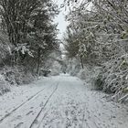 Der Winter in diesem Jahr war ein Sonntag.