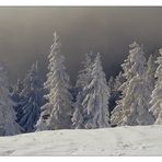 Der Winter in Höchstform