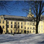 der Winter in Oldenburg ... das Schloss