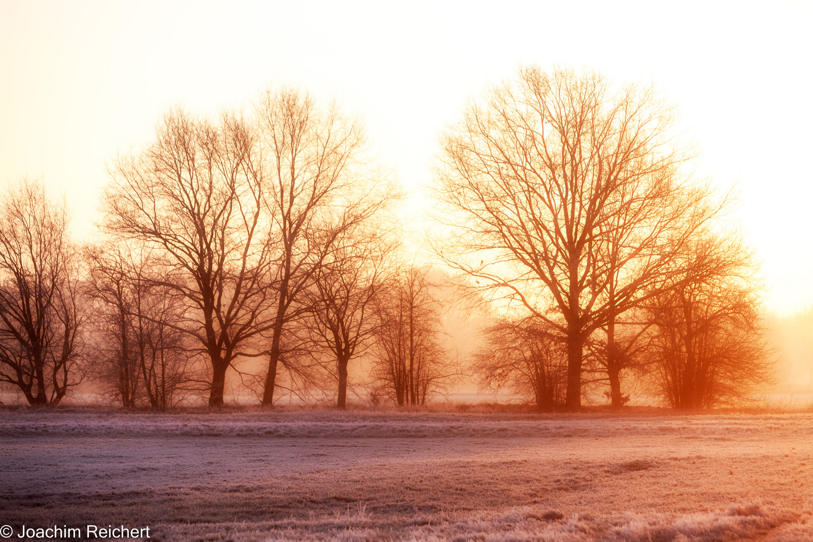 Der Winter in Ostbrandenburg