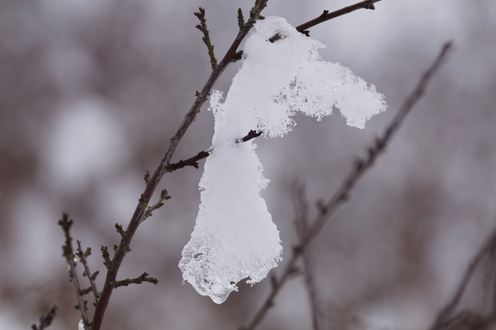 Der Winter in Ostelheim