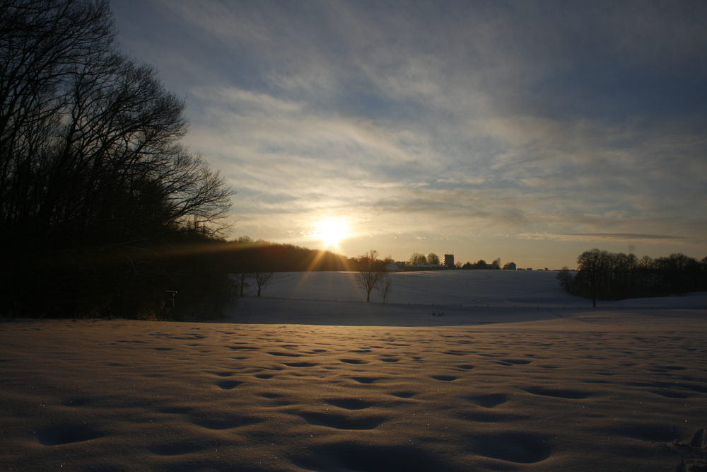 Der Winter in seinem Element