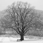 Der Winter in seiner vollen Pracht