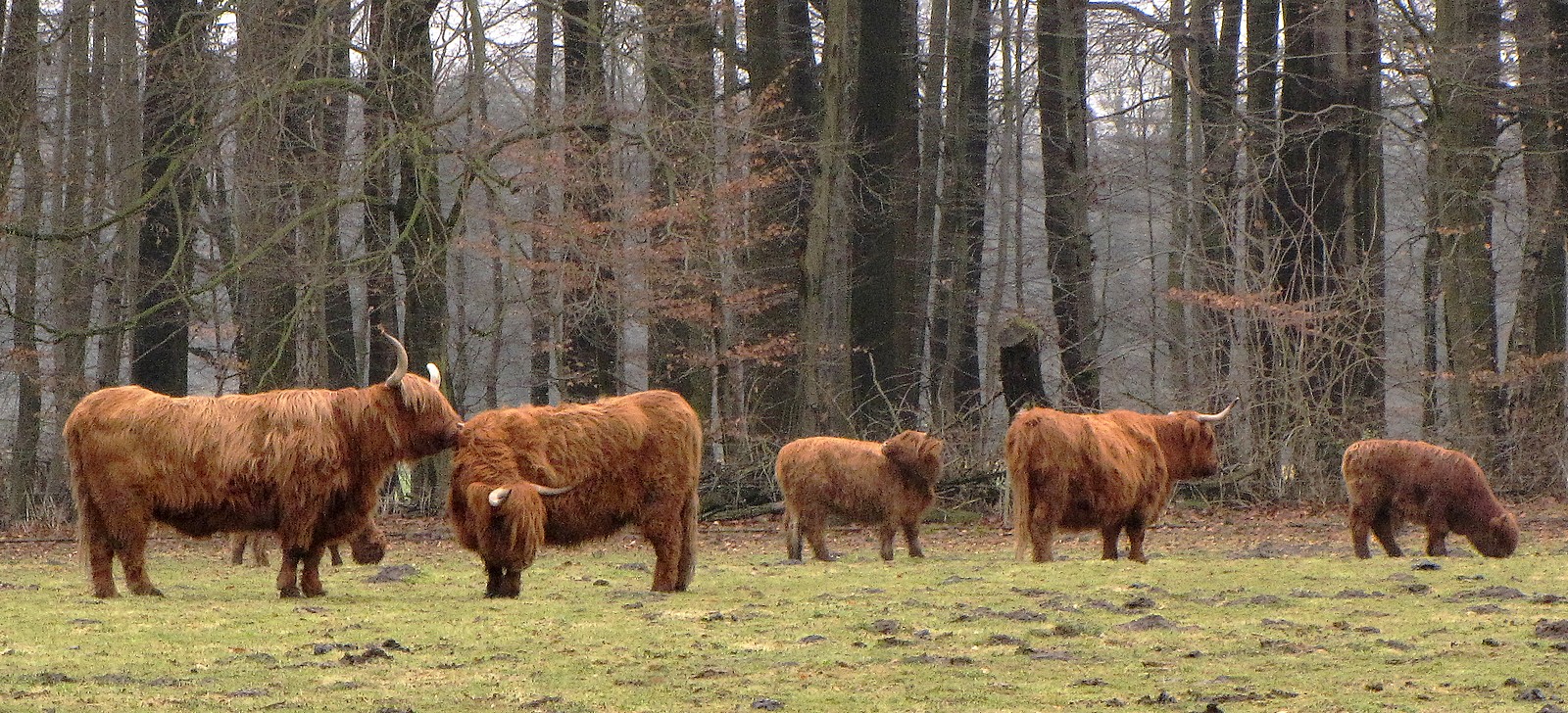 Der Winter interessiert uns nicht!