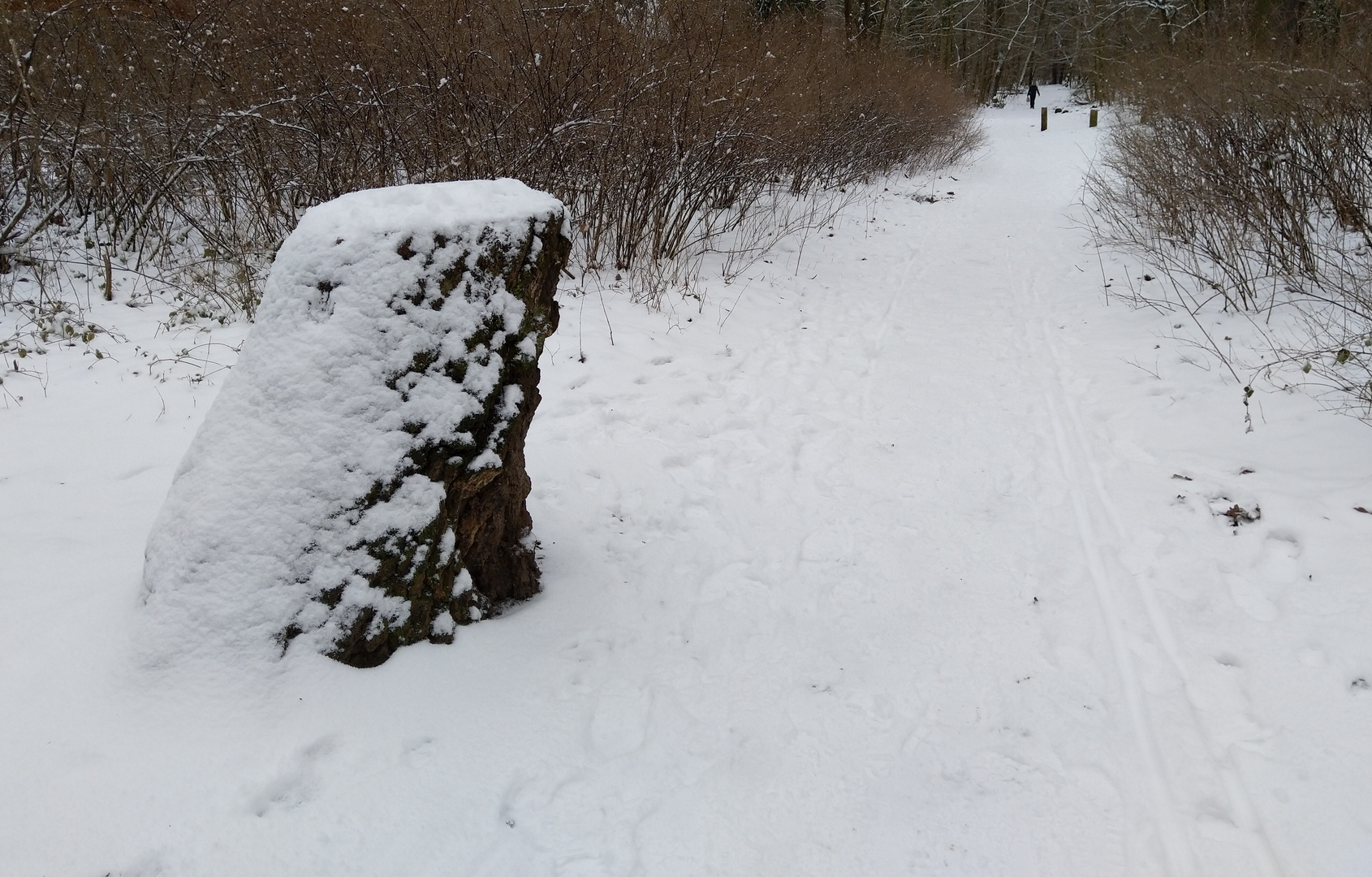 Der Winter is zurück