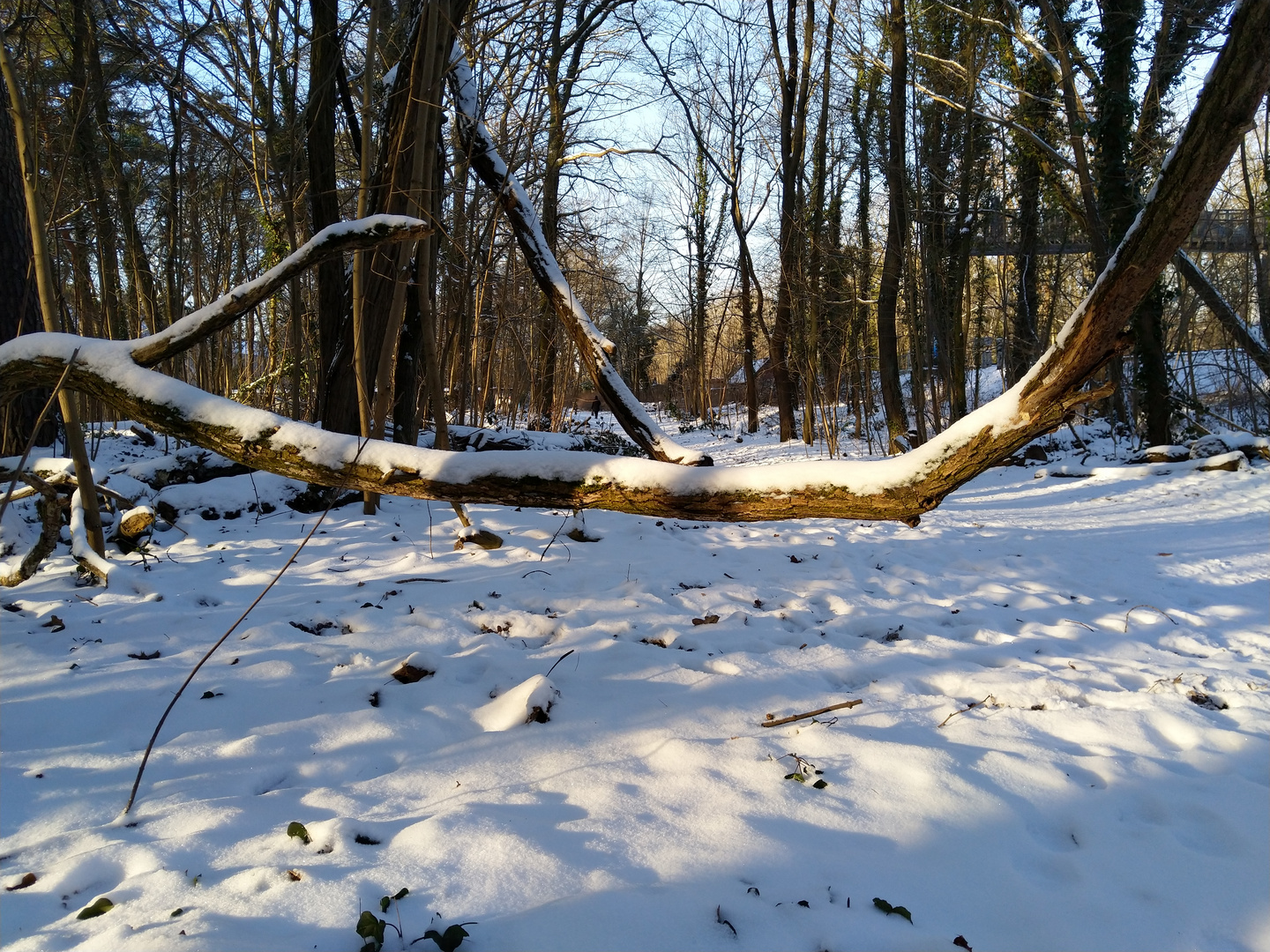 Der Winter is zurück