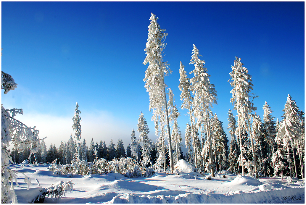 Der Winter ist angekommen ! 15