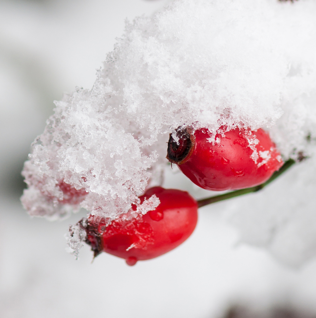 Der Winter ist angekommen