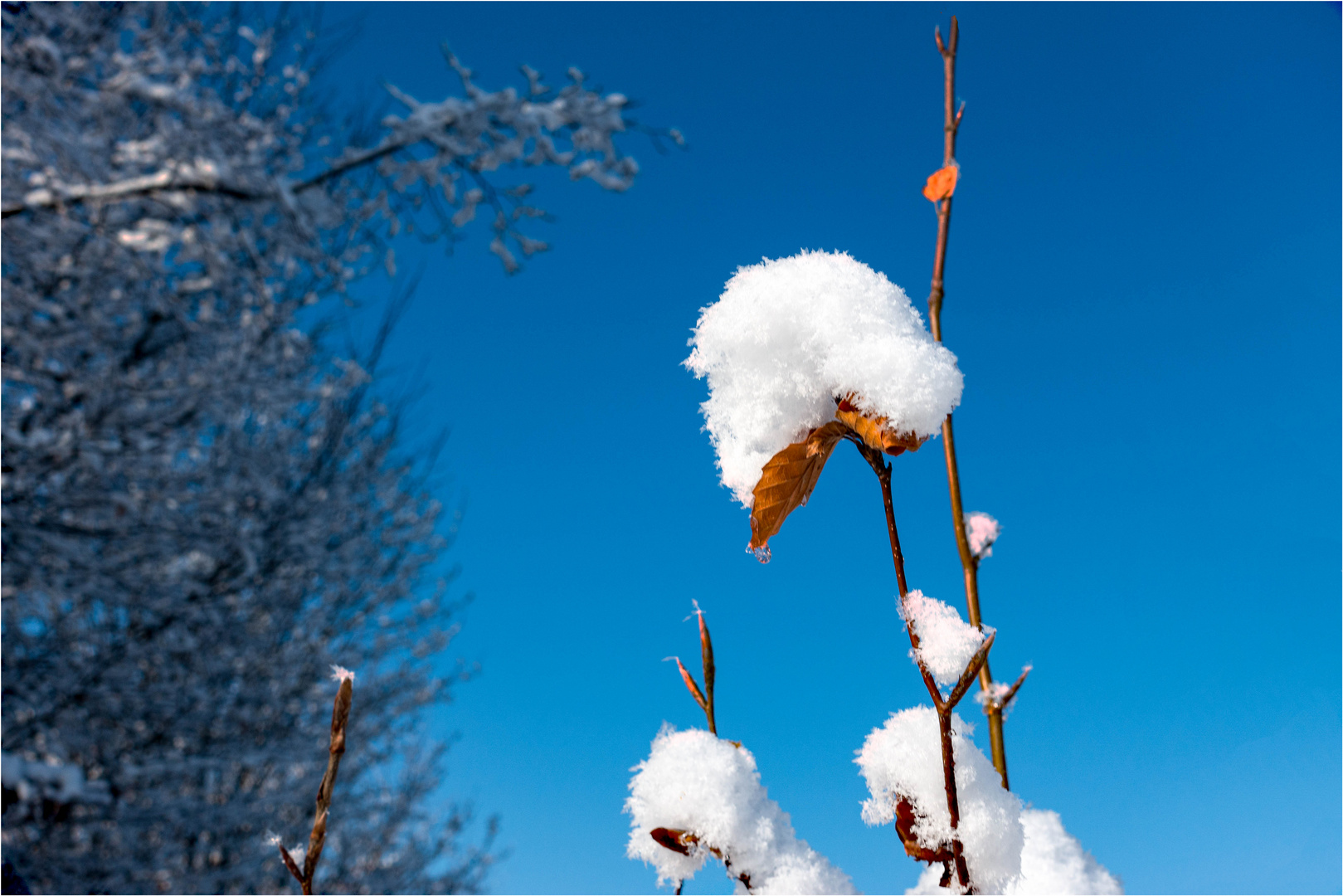 Der Winter ist angekommen