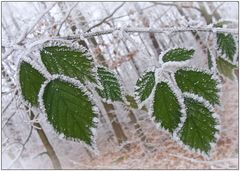 der Winter ist da...
