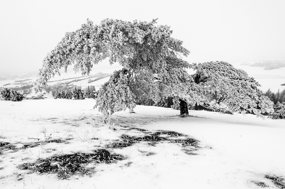 Der Winter ist da!