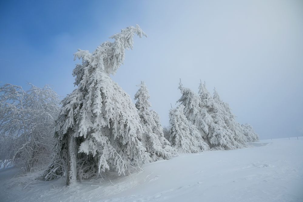 der Winter ist da....