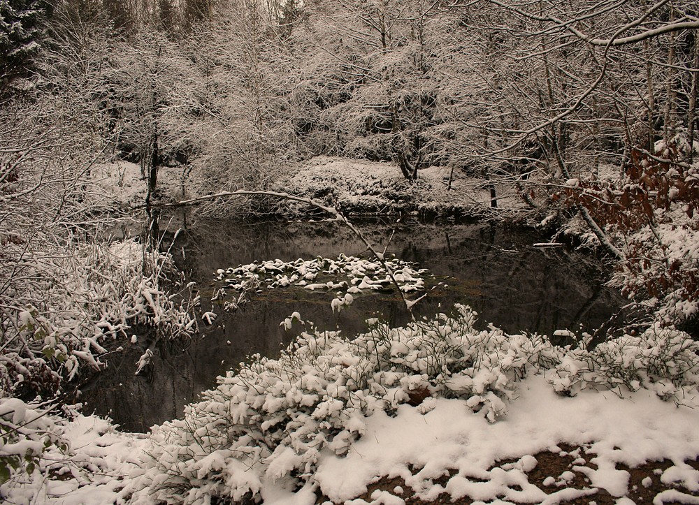 der Winter ist da ...