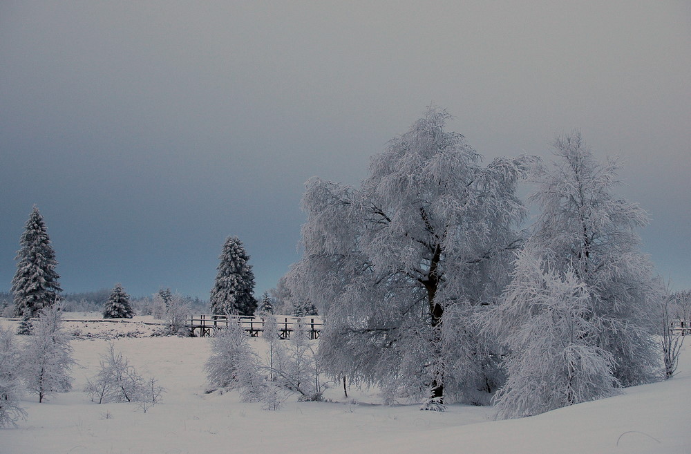 Der Winter ist da :)