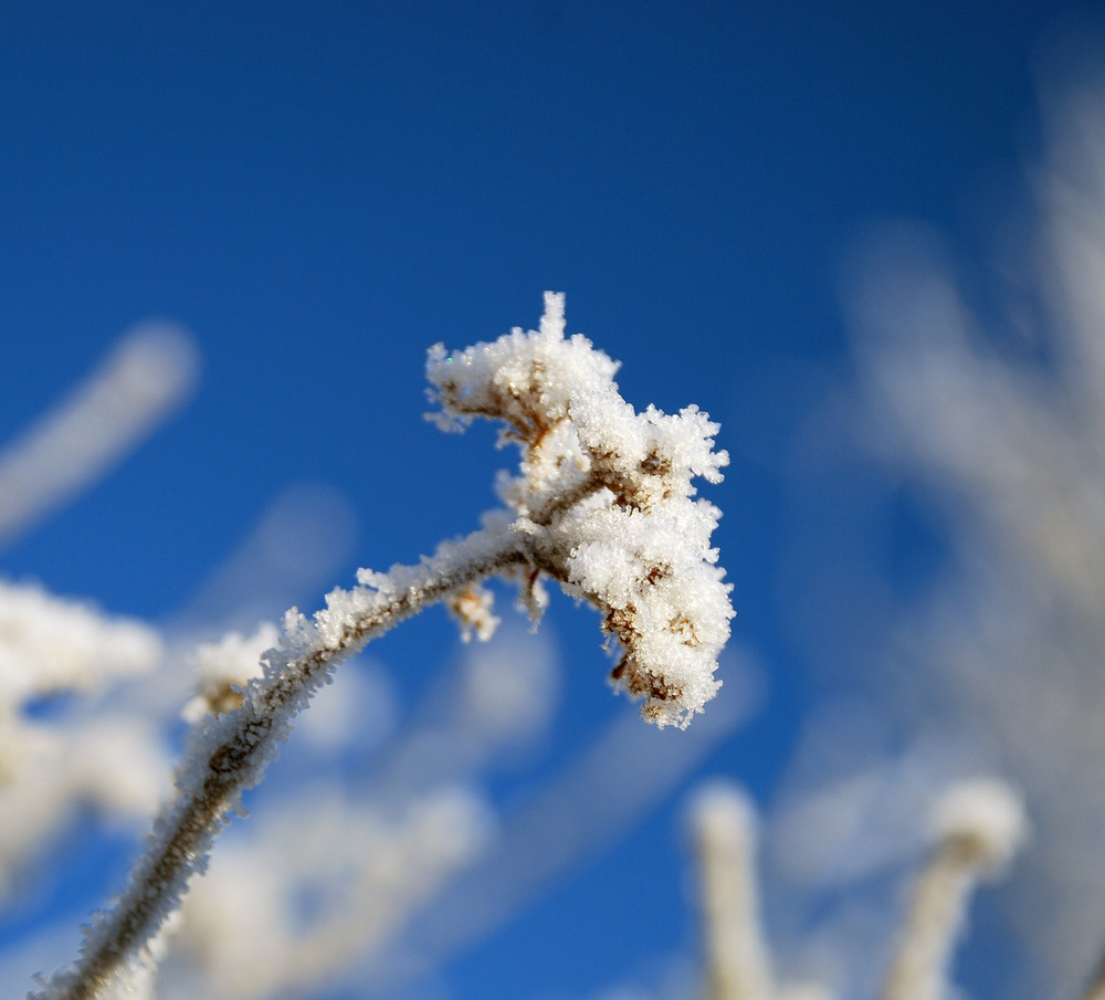 Der Winter ist da