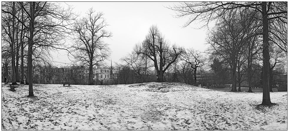 Der Winter ist da.... Park in Harvestehude