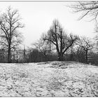 Der Winter ist da.... Park in Harvestehude