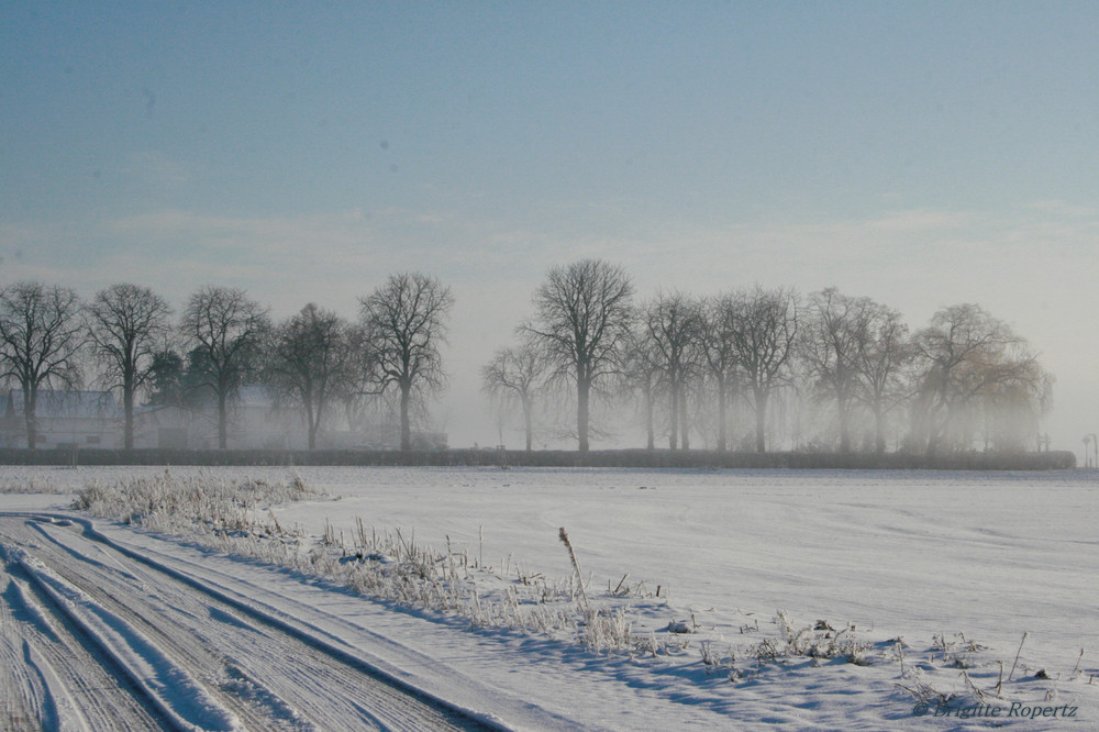 Der Winter ist eingezogen