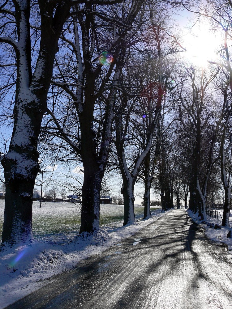 Der Winter ist endlich vorüber