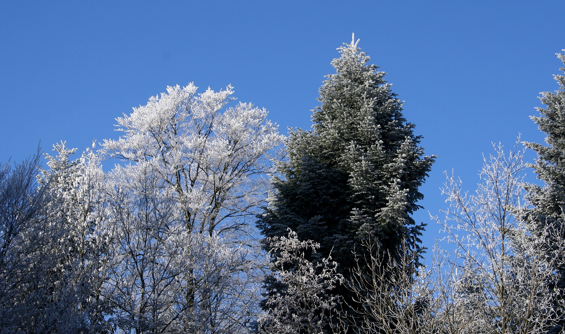 Der Winter ist im Anflug