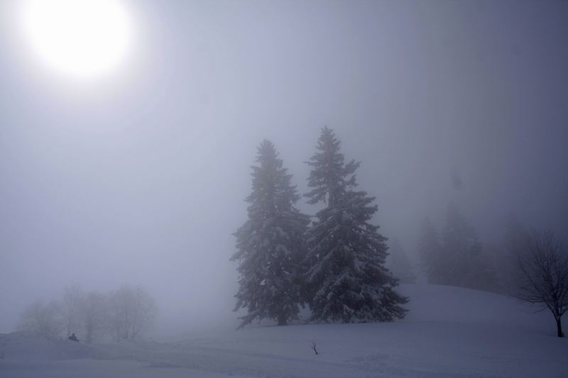 Der Winter ist im Schwarzwald zurück gekehrt...