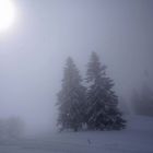 Der Winter ist im Schwarzwald zurück gekehrt...