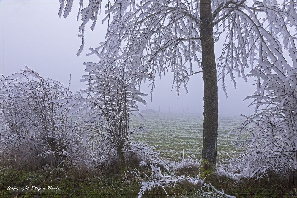 Der Winter ist in Wittgenstein angekommen 2