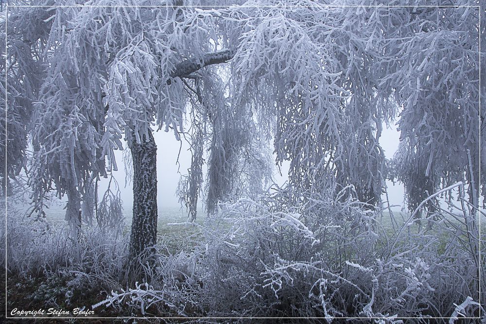 Der Winter ist in Wittgenstein angekommen