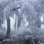 Der Winter ist in Wittgenstein angekommen