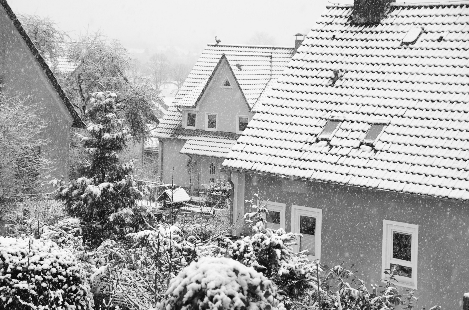 Der Winter ist mit Schneefall gekommen.